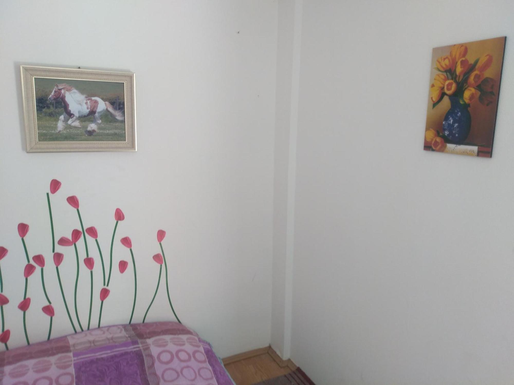 Hostel Trajan Доні-Мілановац Екстер'єр фото